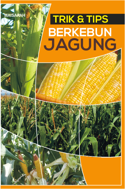 Trik & Tips Berkebun Jagung