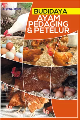 Budidaya Ayam Pedaging & Petelur