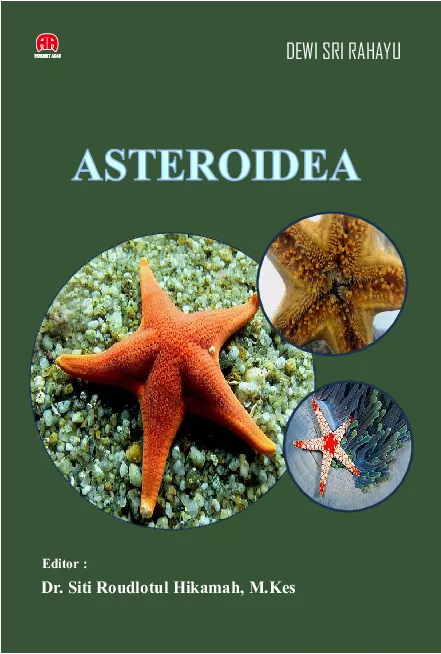 Asteroidea