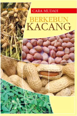 Cara Mudah Berkebun Kacang