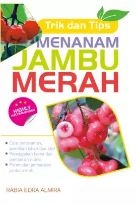 Trik Dan Tips Menanam Jambu Merah