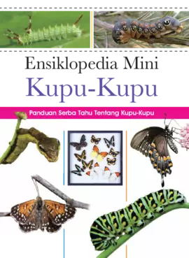 Ensiklopedia Mini Kupu-Kupu