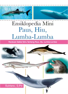 Ensiklopedia Mini Paus, Hiu, Lumba-Lumba