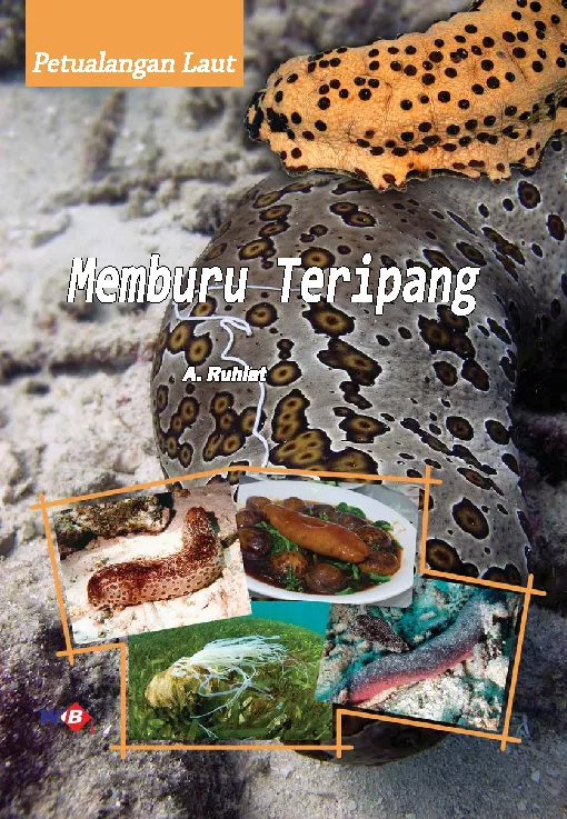 Petualangan Laut: Memburu Teripang