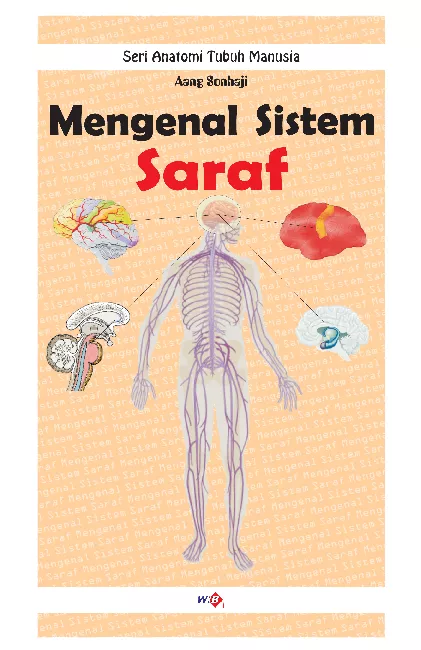 Mengenal Sistem Saraf