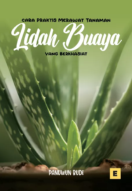 Cara Praktis Merawat Tanaman Lidah Buaya yang Berkhasiat