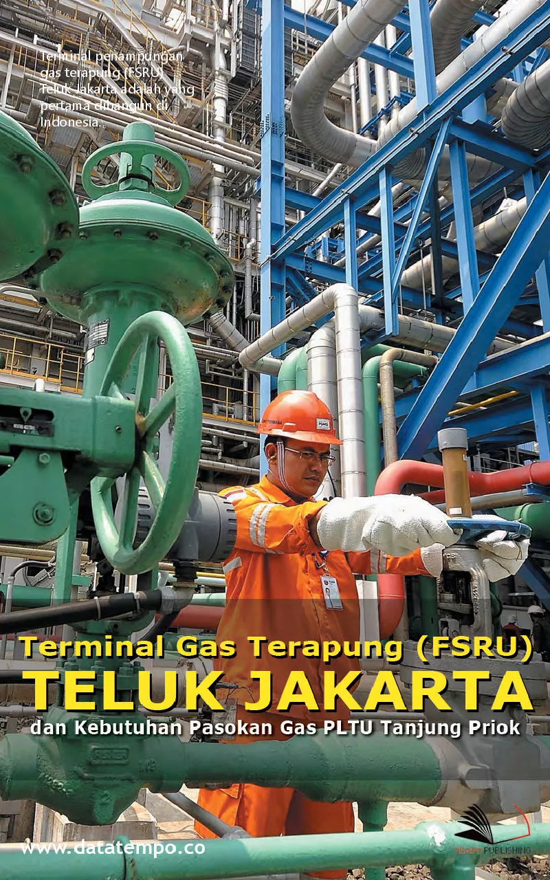 Terminal Gas Terapung (FSRU) Teluk Jakarta dan Kebutuhan Pasokan Gas PLTU Tanjung Priok