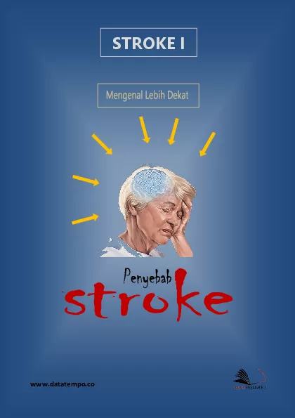 Stroke I: Mengenal Lebih Dekat Penyebab Stroke