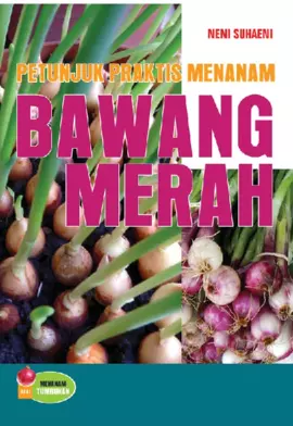 Petunjuk Praktis Menanam Bawang Merah