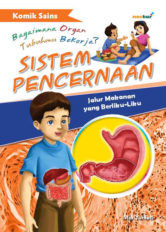 Sistem pencernaan : jalur makanan yang berliku liku