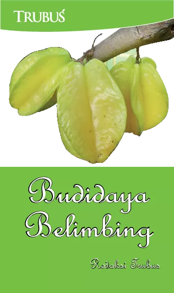 Budidaya Belimbing