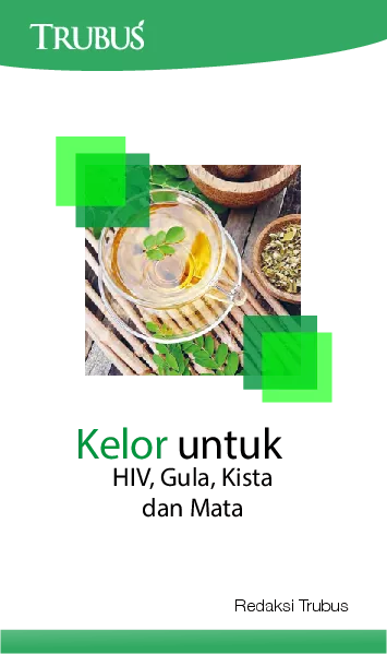 Kelor Untuk HIV, Gula, Kista dan Mata