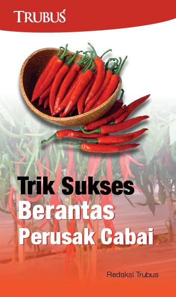 Trik Sukses Berantas Perusak Cabai