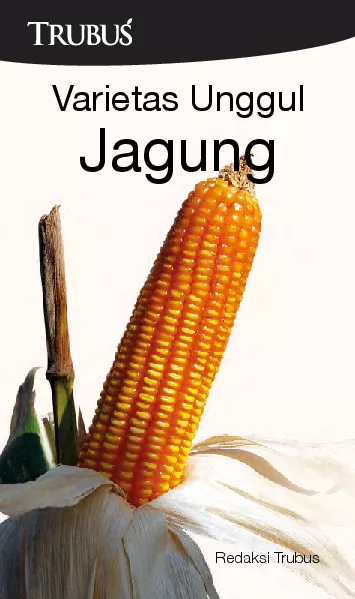 Varietas Unggul Jagung