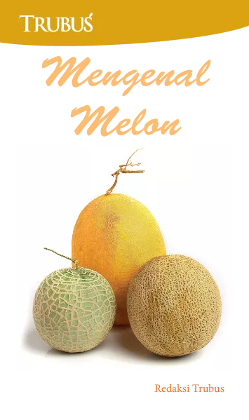 Mengenal Melon