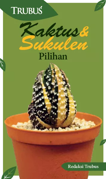 Kaktus dan Sukulen Pilihan