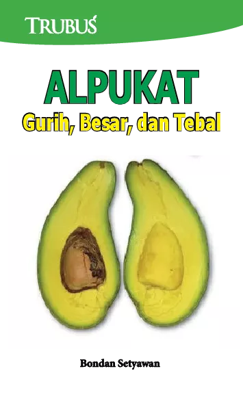 Alpukat: Gurih, Besar, dan Tebal