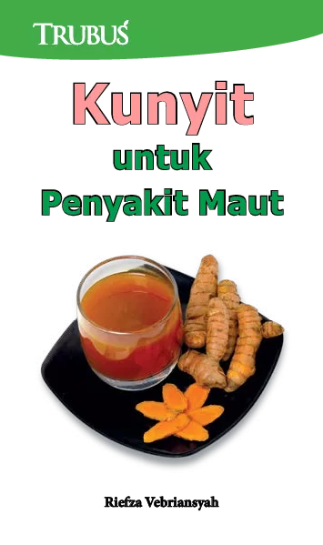 Kunyit untuk Penyakit Maut