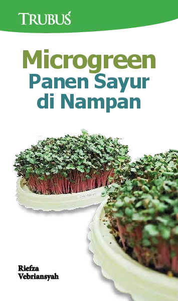 Microgreen Panen Sayur di Nampan