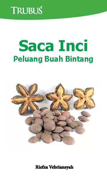 Saca Inci: Peluang Buah Bintang