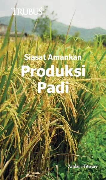 Siasat Amankan Produksi Padi