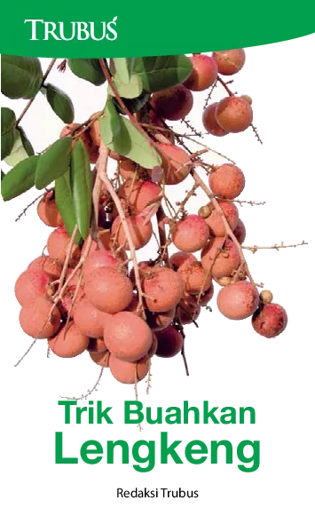 Trik Buahkan Lengkeng