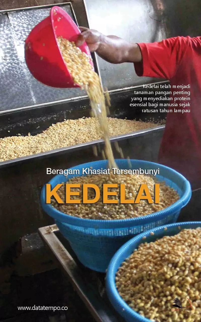 Beragam khasiat tersembunyi kedelai