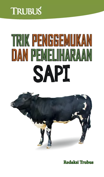 Trik Penggemukan Dan Pemeliharaan Sapi