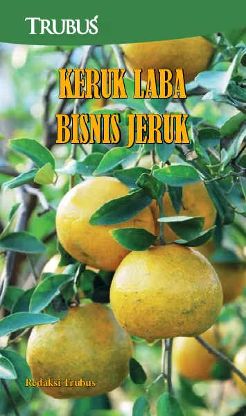 Keruk Laba Bisnis Jeruk