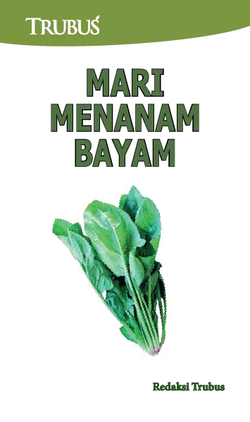 Mari Menanam Bayam