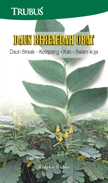 Daun Berfaedah Obat: Daun Sirsak - Ketepeng - Kari - Salam koja