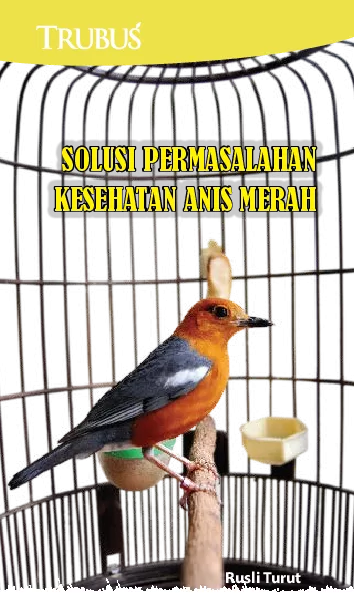 Solusi Permasalahan Kesehatan Anis Merah