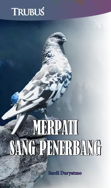 Merpati Sang Penerbang