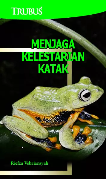 Menjaga Kelestarian Katak