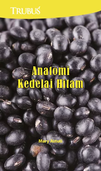 Anatomi Kedelai Hitam