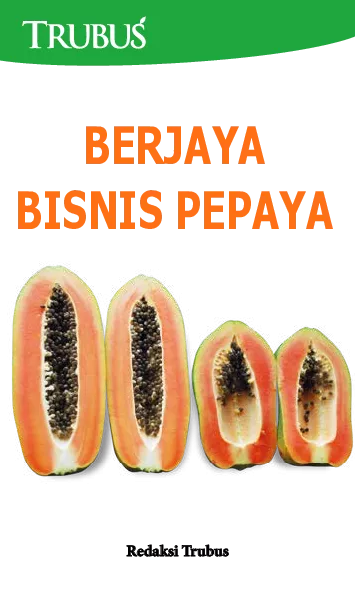 Berjaya Bisnis Pepaya