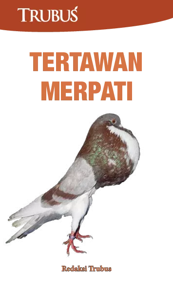 Tertawan Merpati