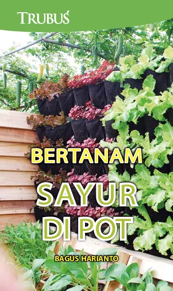 Bertanam Sayur Di Pot