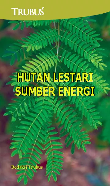 Hutan Lestari Sumber Energi