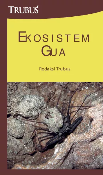 Ekosistem Gua