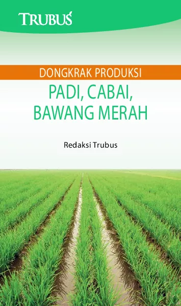 Dongkrak Produksi Padi, Cabai, Bawang Merah