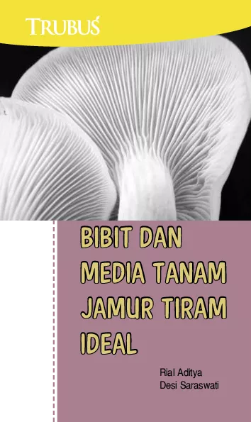 Bibit dan Media Tanam Jamur Tiram Ideal