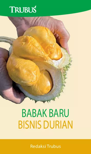 Babak Baru Bisnis Durian