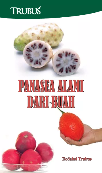 Panasea Alami dari Buah