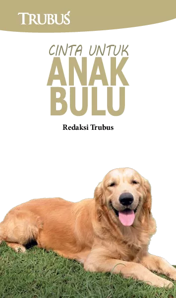 Cinta untuk Anak Bulu