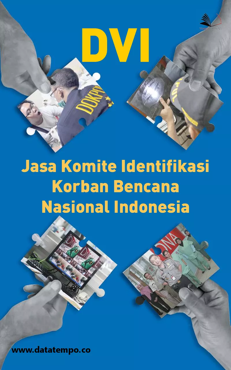 DVI, jasa komite identifikasi korban bencana nasional Indonesia