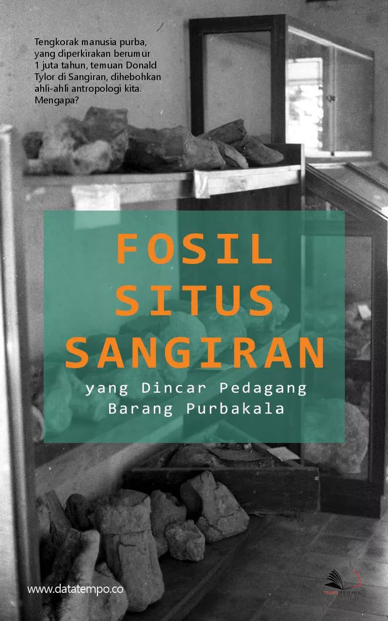 Fosil situs sangiran yang dincar pedagang barang purbakala