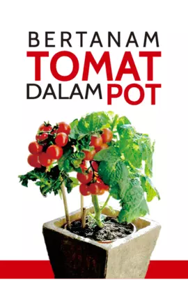 Bertanam Tomat Dalam Pot