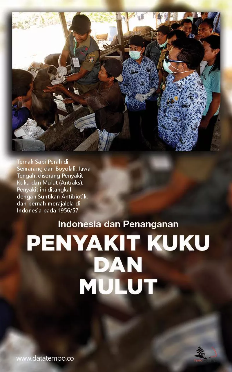 Indonesia dan penanganan penyakit kuku dan mulut