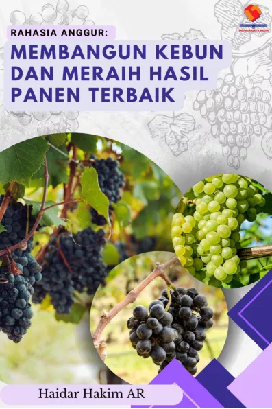 Rahasia Anggur Membangun Kebun dan Meraih Hasil Panen Terbaik